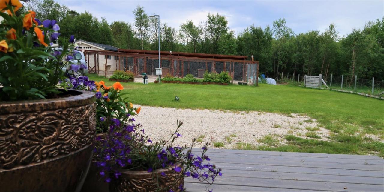 Fjellivet Villa Lakselv Buitenkant foto